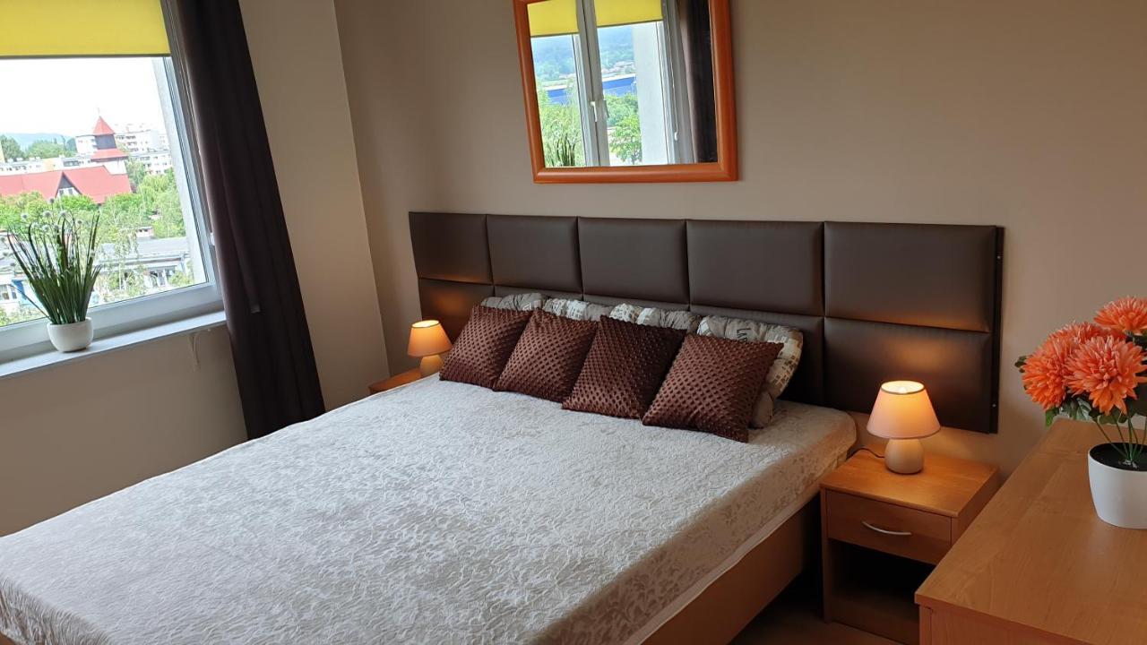 Apartamenty Podzamcze Валбжих Екстер'єр фото