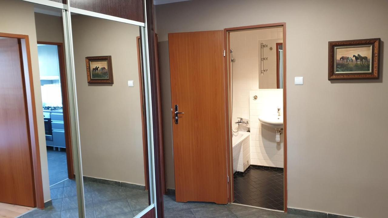 Apartamenty Podzamcze Валбжих Екстер'єр фото